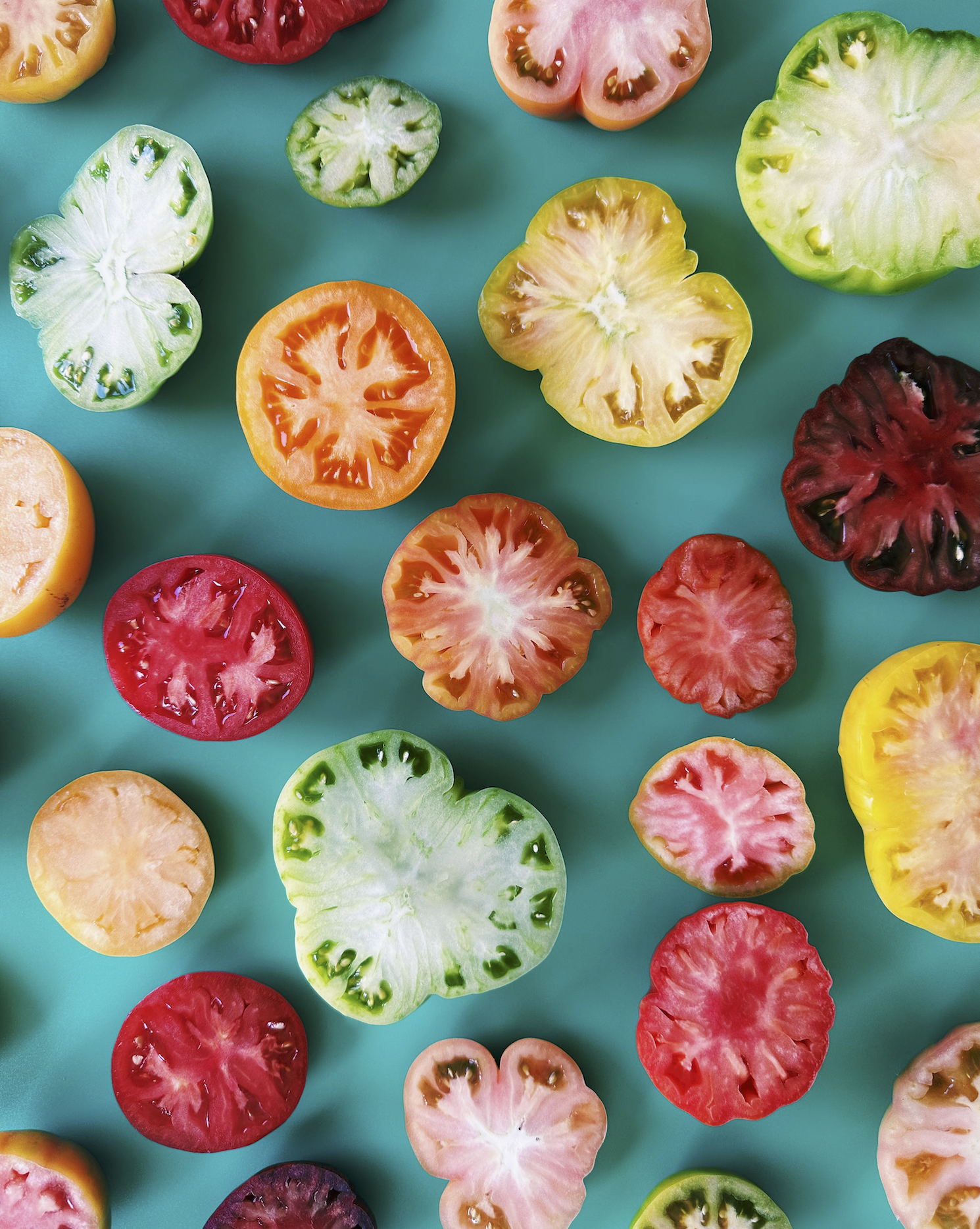 Tomato Slice Pattern Print — Wright Kitchen